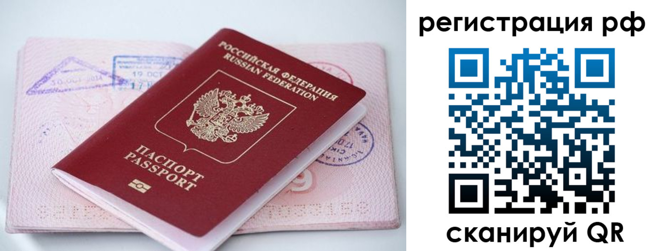 прописка штамп в Полярных Зорях